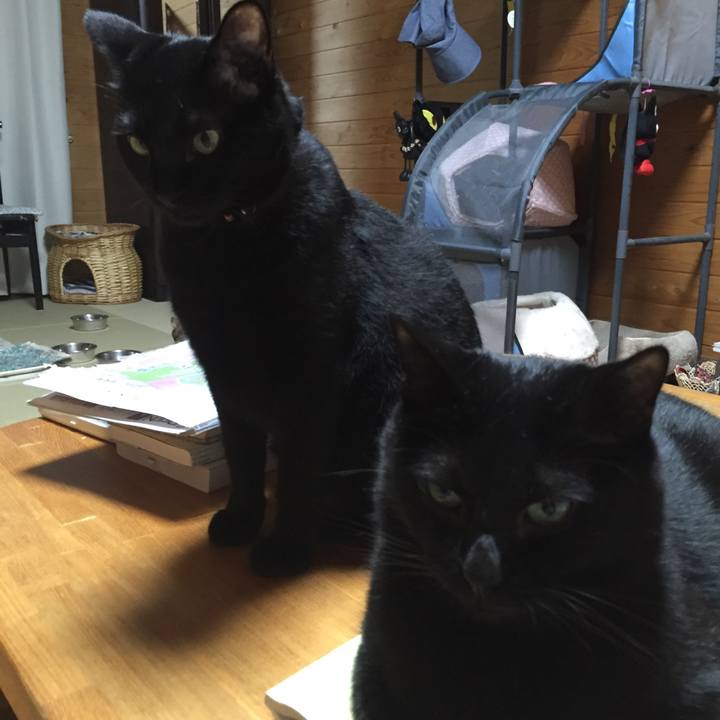 4792c3fd b93d 4d48 b707 0aaf77a75aa8