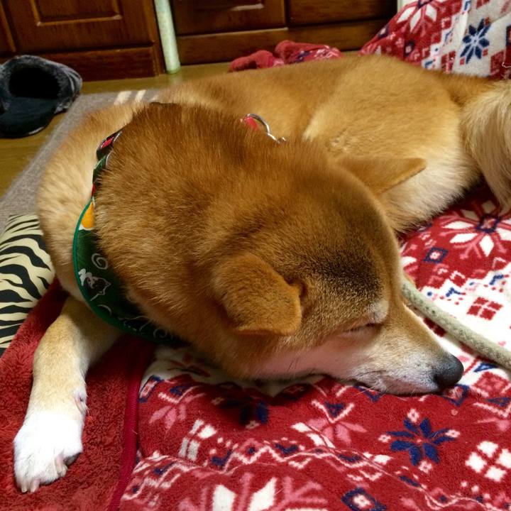 47932772 f22b 483f ad36 f7196a978c1a