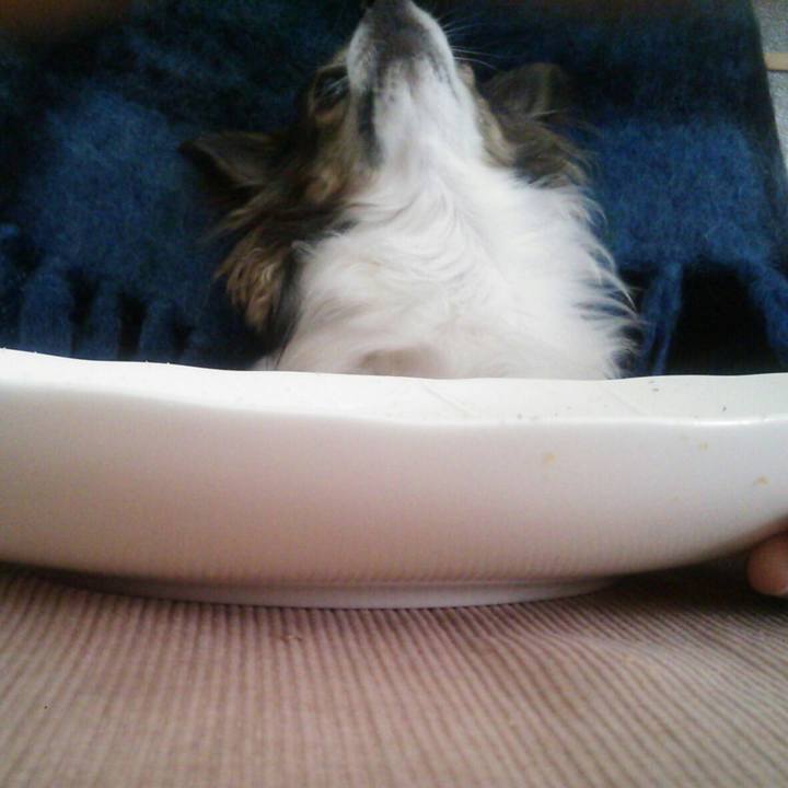 4793802b e3ed 4794 8ac8 326f2e6f5fcb