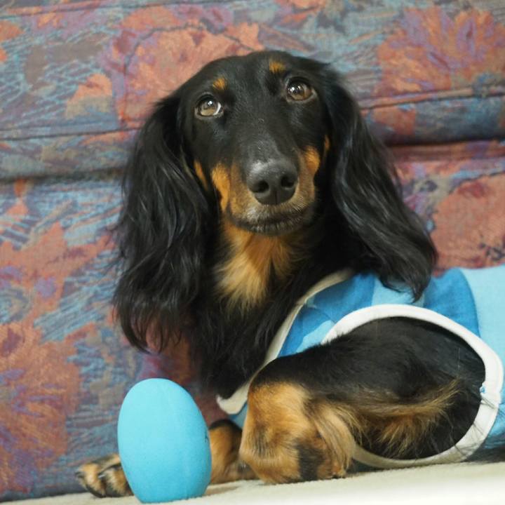 47939793 3ec4 4aa5 b2f7 ec0cc03ec286