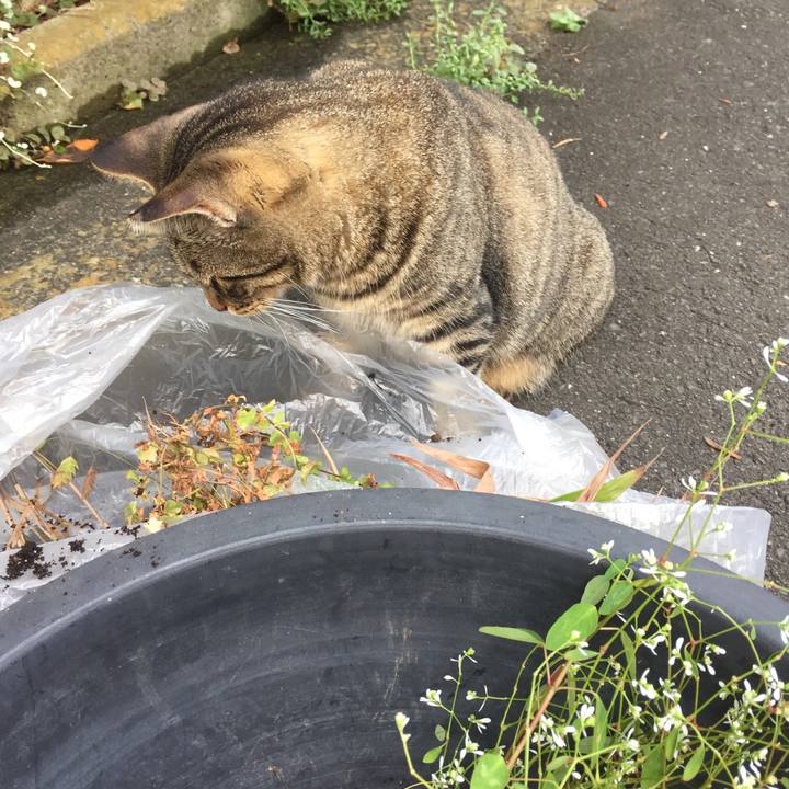 479397d5 fe90 4288 9b87 cc6587f19471