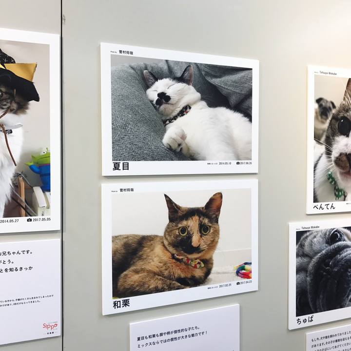 4793f46c 4e22 4962 8d77 460c61579dc5