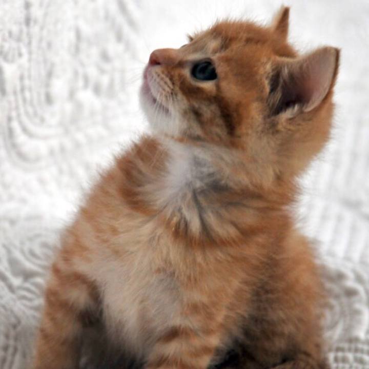 4794a5e3 3eb9 4816 b5aa ed7a74805055