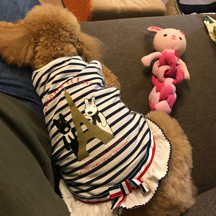 4794b23e 1ebe 4b85 b638 a1f3ab129f25