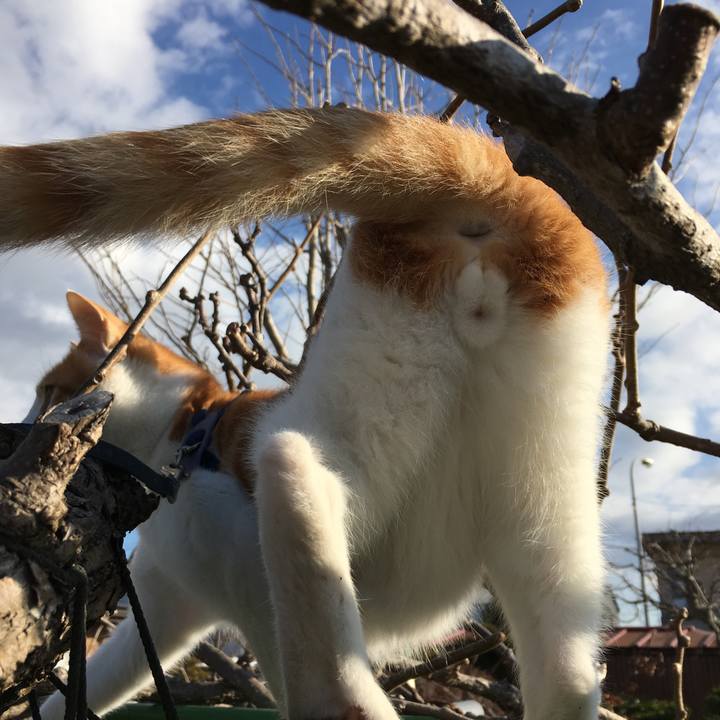 4794b58d c343 47f7 867a 13692141ea08