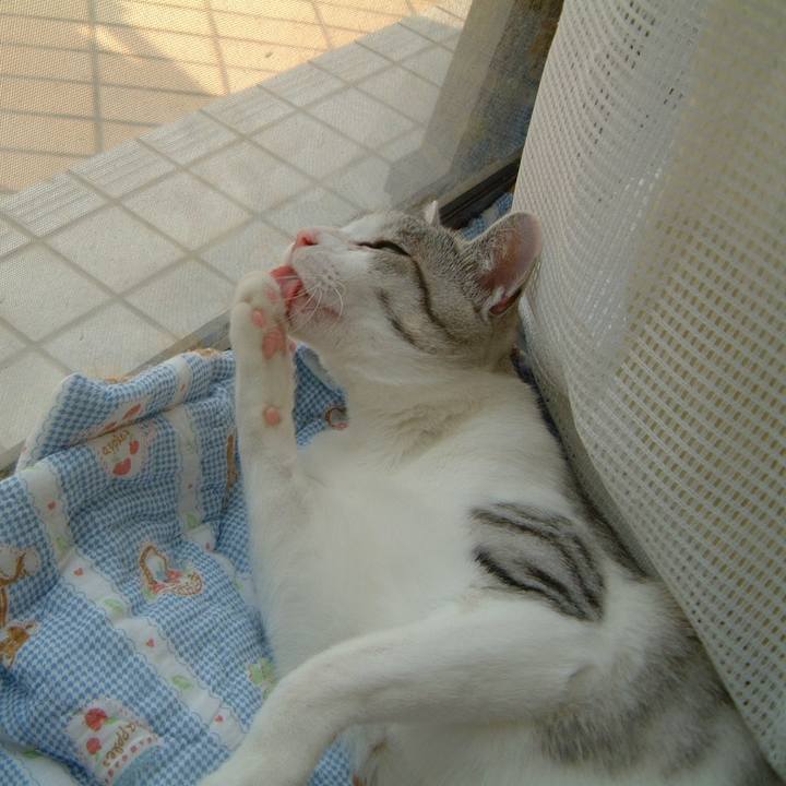 4795ae76 5a37 4553 8d15 4d1df61e01d2