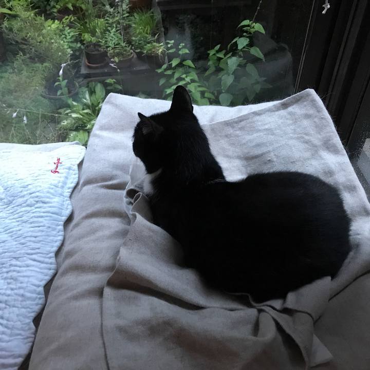 47963fa9 3501 47e1 8f12 af31d765a346