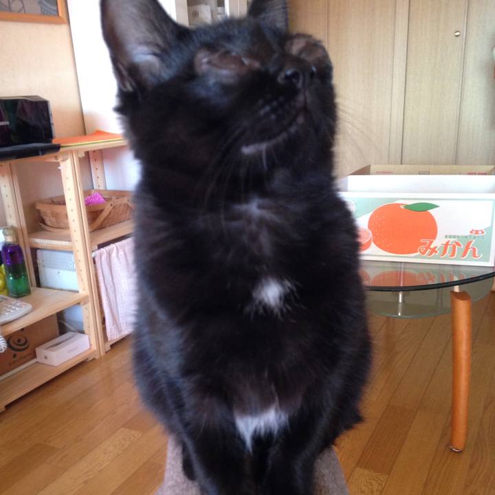 4796e217 c9eb 4c2c 8d35 610dcfd5d018