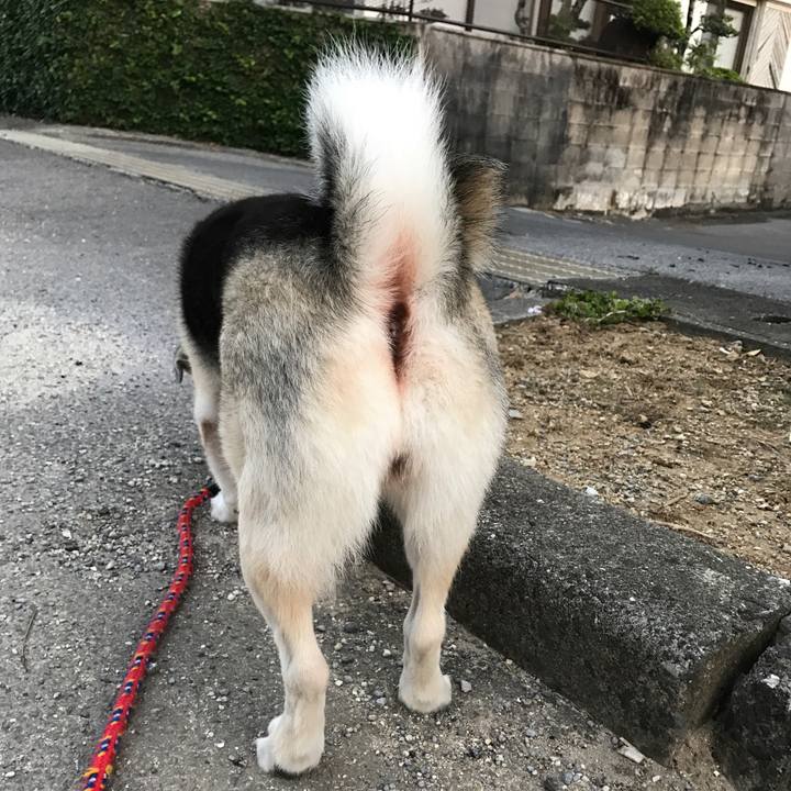 47973b1f 5d78 4c48 bb02 64ebf86357c3