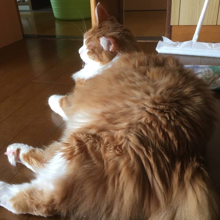 47974d93 0e23 4154 9d5c 95d94121ca69