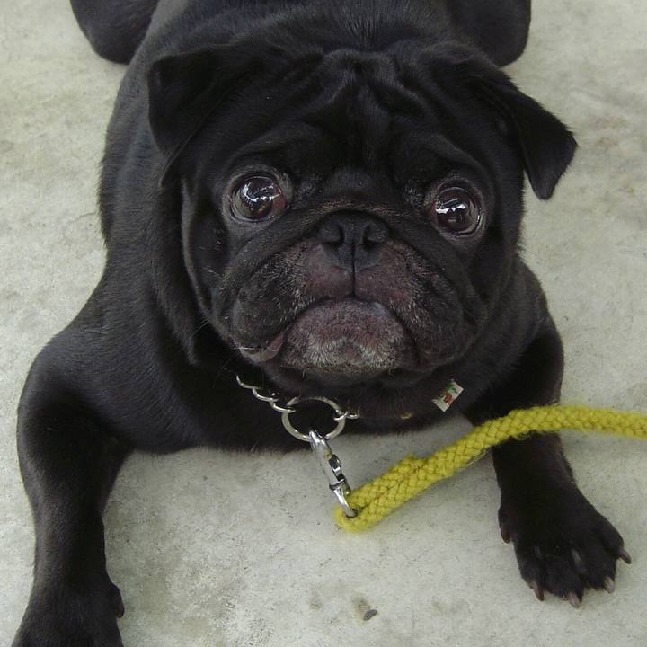 47978702 efb4 40e3 b447 65abc3c7d2cd