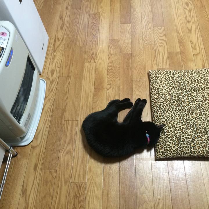 47979575 a08a 4194 a7e6 e2cd41452736