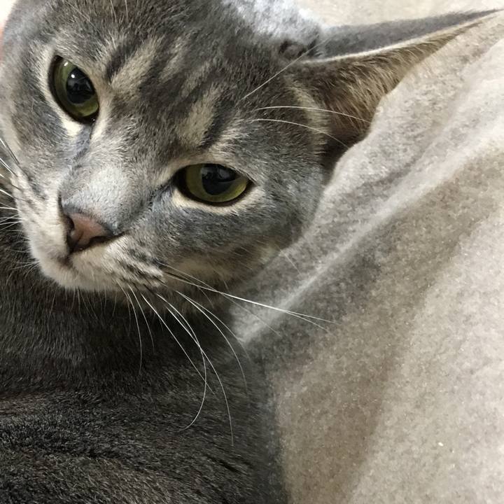 47986c49 08ff 4a27 91b6 10b293d65f82