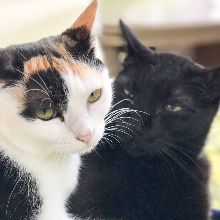 47989289 ef2c 4791 af43 f4e62e9190f5