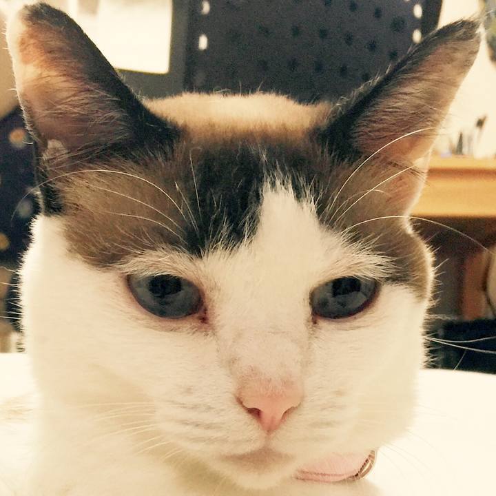 4798d3c7 4e31 4512 872b 696d226b9871