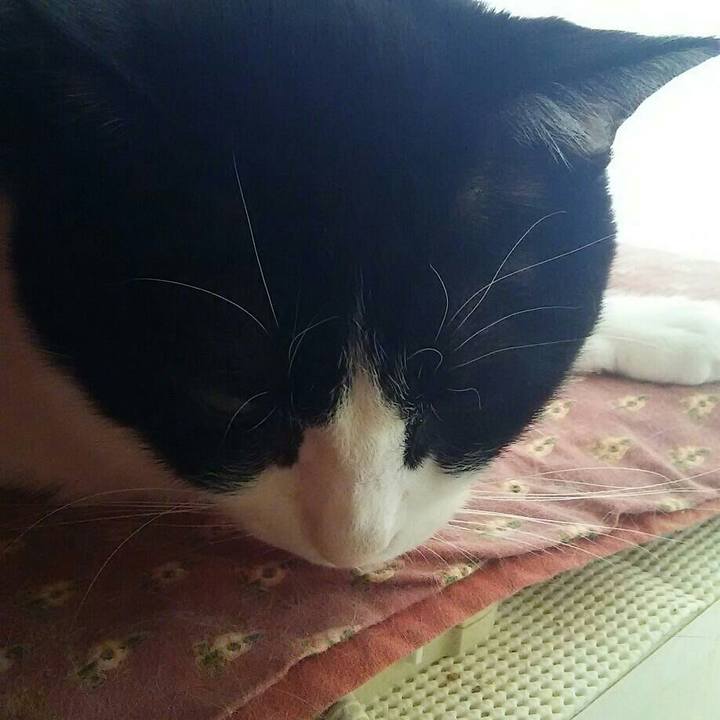 4798fa81 0aeb 440f 95cc 536799d5f9ef