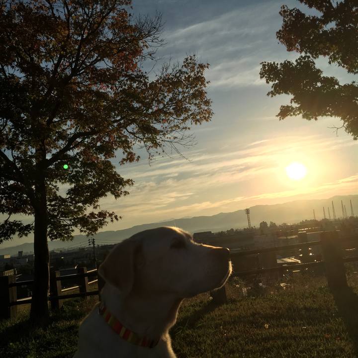 47998d89 e13c 45a1 a85f d856d7a61d9c