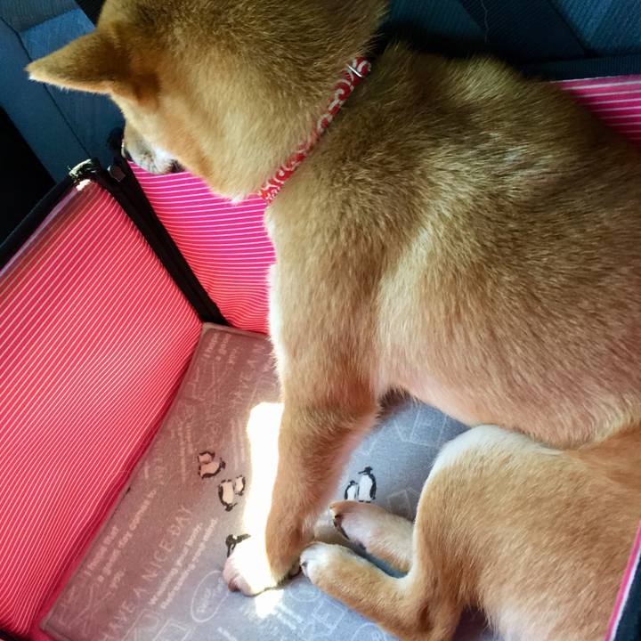 4799bfe2 97e2 41ab b1e7 aa2e74df9a90