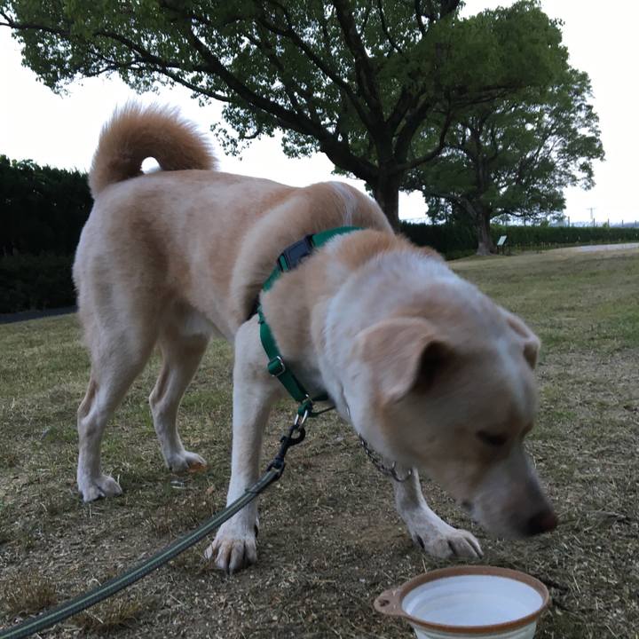 479a580a 23d4 4ece 9778 494b5e7a03de