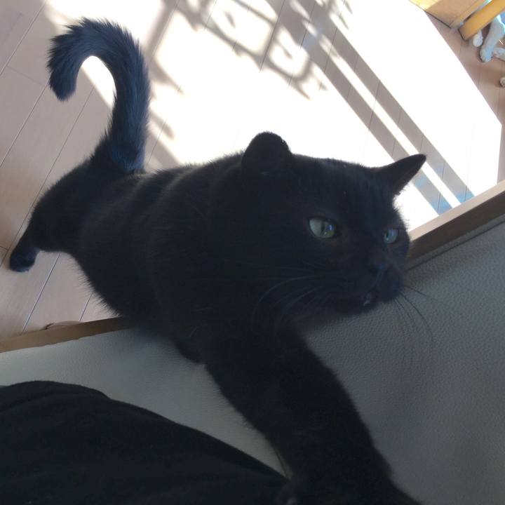 479ae39d 4f00 4f13 8ae9 53a4024bef9b