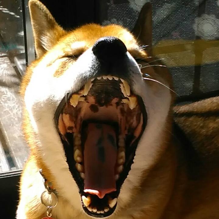 479b25a6 aa6c 40e2 9b24 d69525a010fa