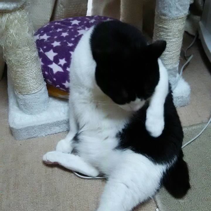 479b2f23 9627 4adc b80b c9076d10edbb