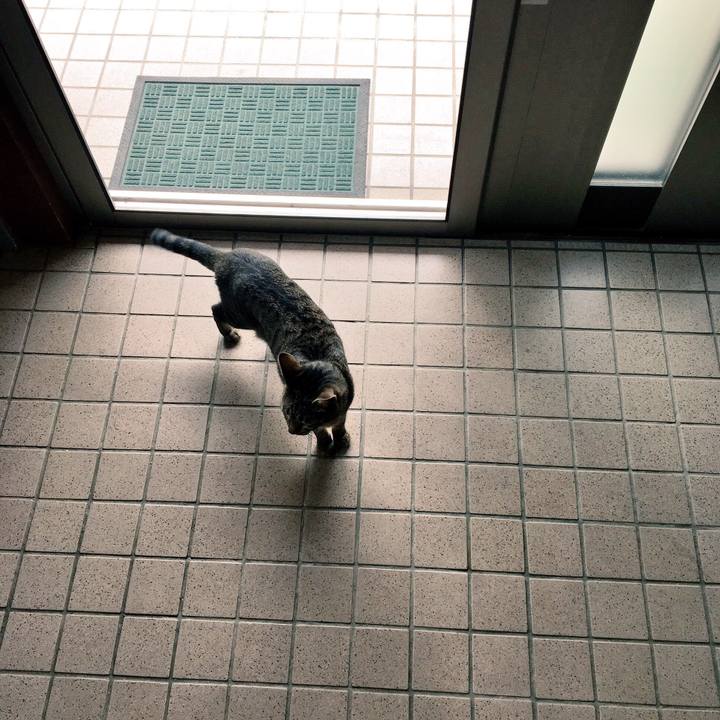 479c02e1 31a4 4f7a 90d1 d54f389f1fb6