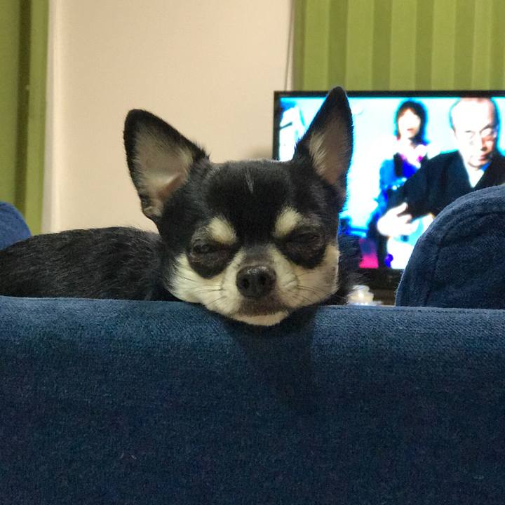 479c4bc3 83e7 4a8b a8de 2501bacfa40b