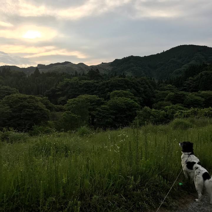 479cf1ac a8ed 4df2 a75e 76d1a073b983