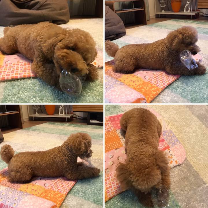 479d1eb4 d976 4e6d a699 c389dfd9b91c