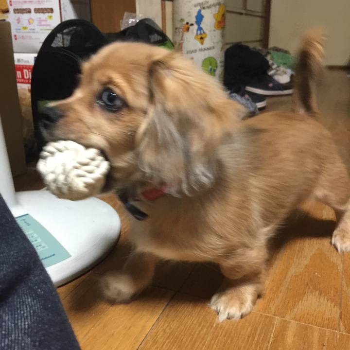 479d696e dc5e 4209 8ee0 9523bb906a8f