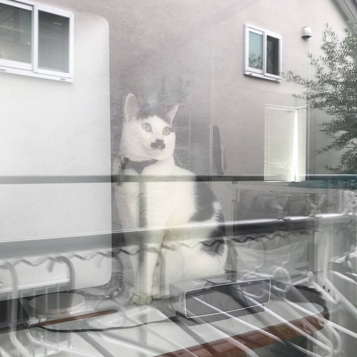 479d89f2 ac5b 4699 bd70 247457dba699