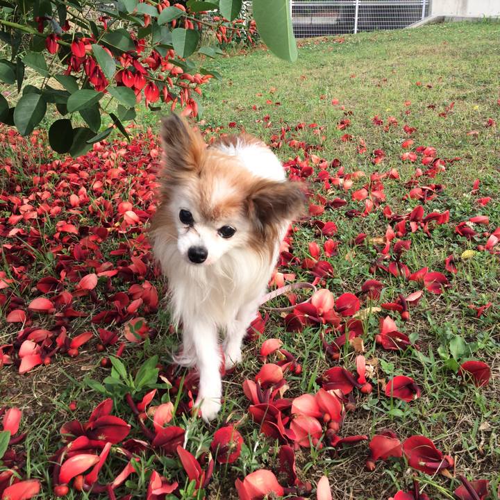 479e00b6 5c3e 4467 953b 56d44bf2d718