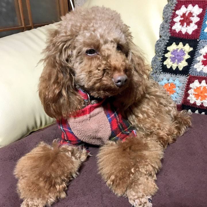 479e23ed 9345 47b0 a4c2 5496fffaf567