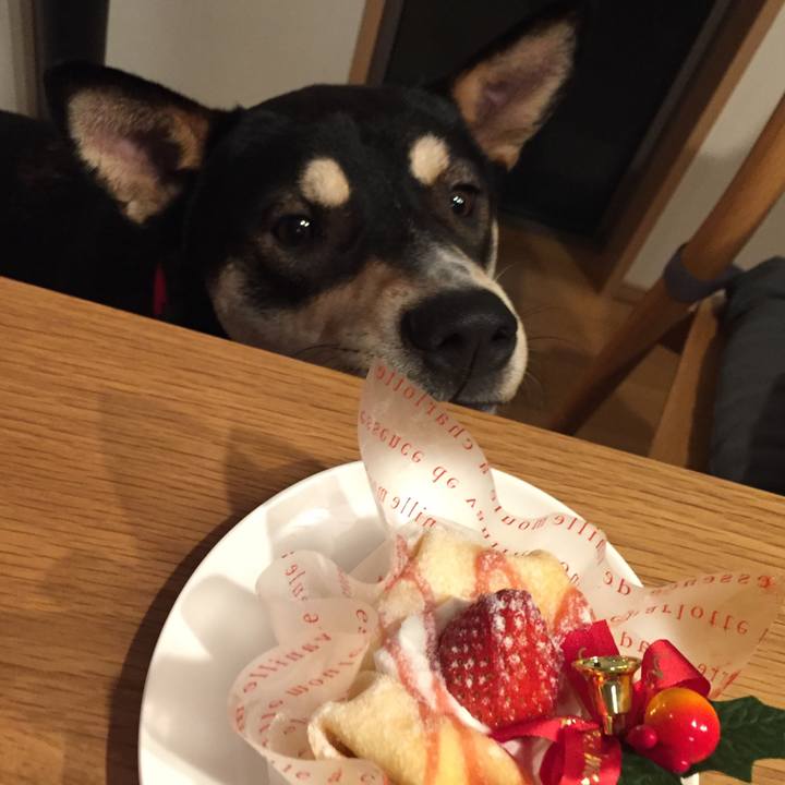 479ea8ed 94d0 408f 865c 5b231f9cceb8