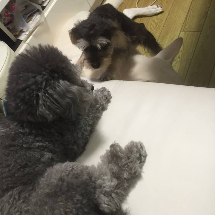 479ece87 9909 4298 862d 6029c1b29d7d