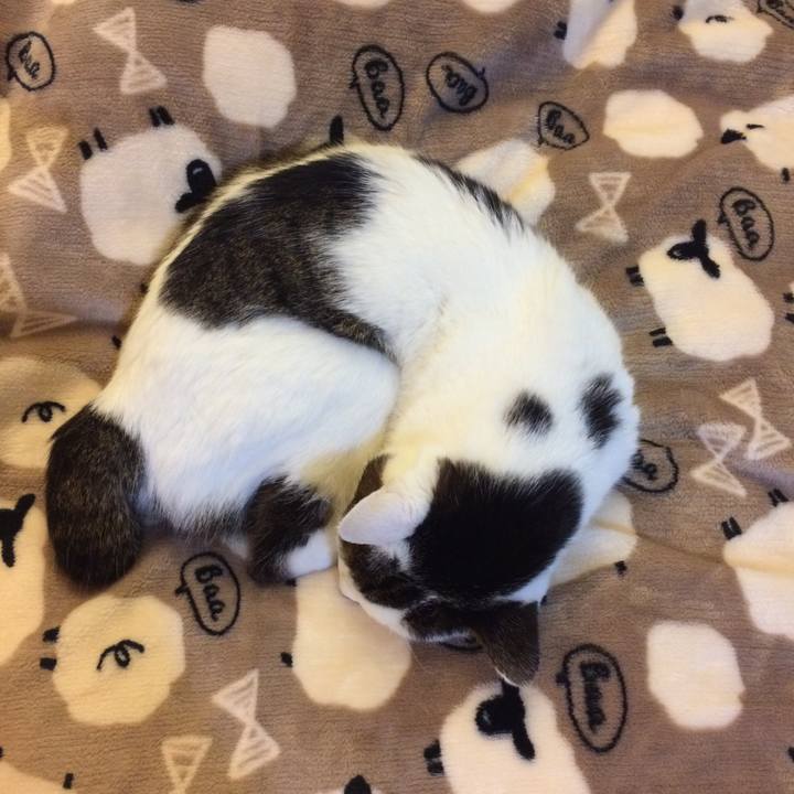 479f75eb b632 4fb9 91e3 4245f9907194