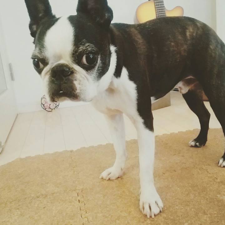 479f82d2 7a30 4a4d af04 aeab4391c274