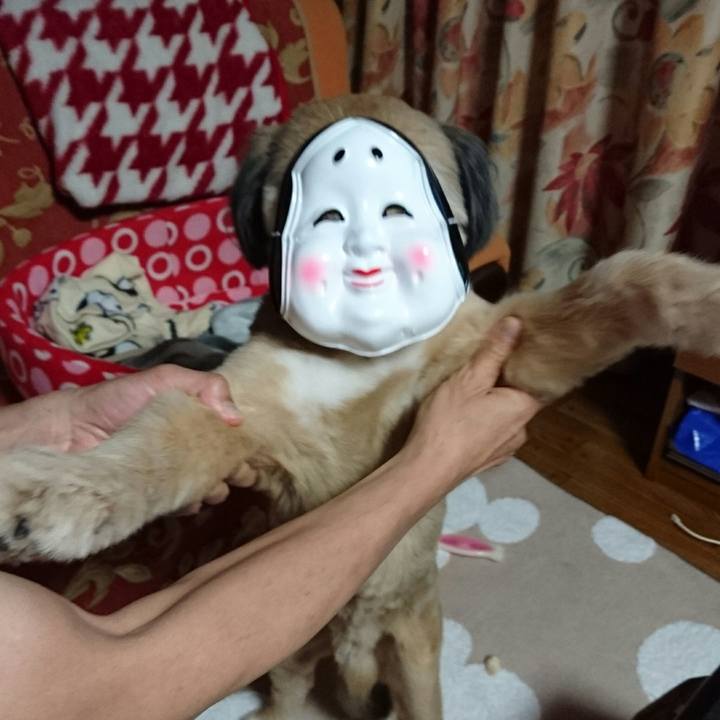 479fae4b 0774 48ae 889f 8beffdc9630b