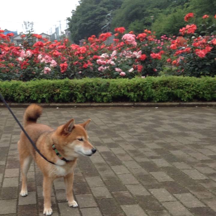 479ffb4f 4176 4a9b 90f0 e43846c6d85b