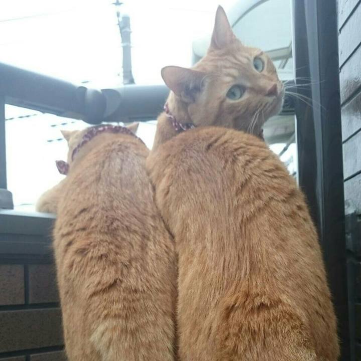 47a004e8 a3c5 40ea abe0 d54af5818a87