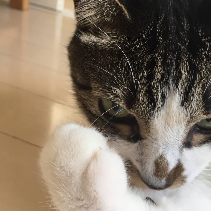 47a04973 8503 4e36 93ab 8d51961e1ad8