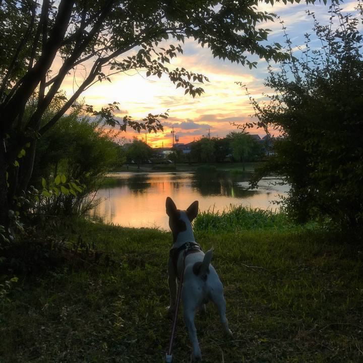 47a0f535 165d 4c77 827d ef9147c23c7b