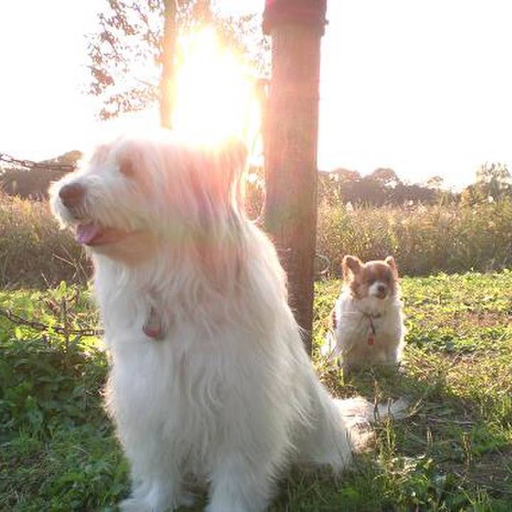 47a190dd b225 4358 b4e6 875a106bc31b