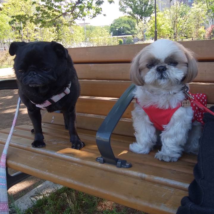 47a21e6c ce12 4b41 a9dc 1b61f02dc82e