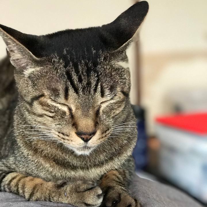 47a22111 7430 4806 8743 cce9a3c663bf