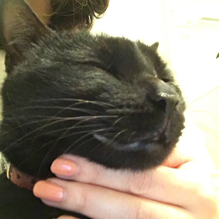 47a289db ac35 4c94 bb9f 74bddd6a3af0