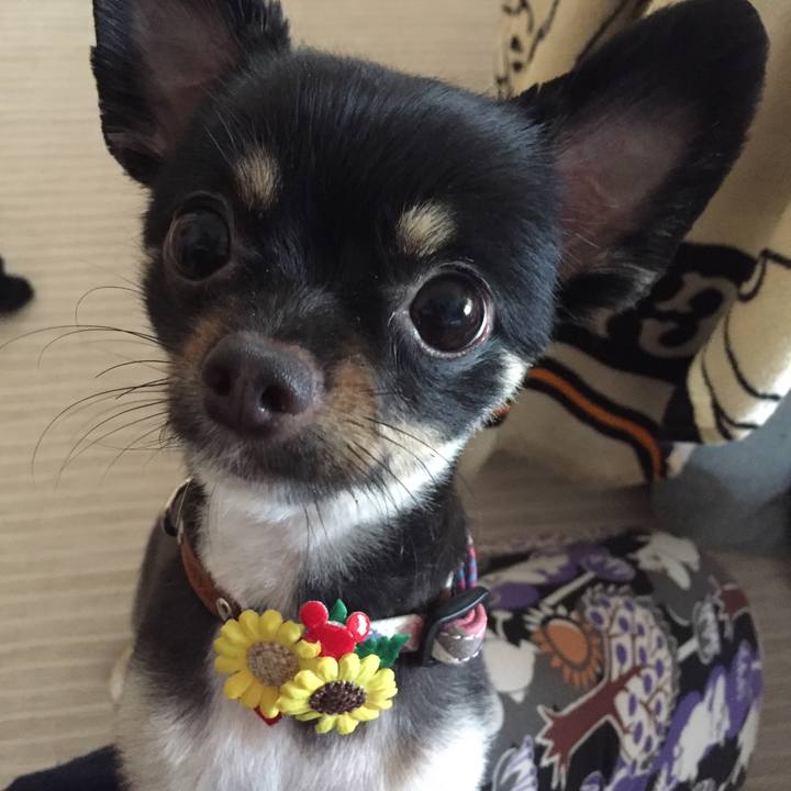 47a2bd31 255d 415c 8177 d0bc2e5ca048