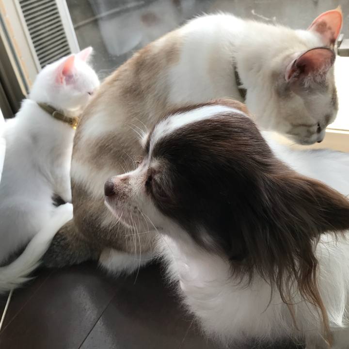 47a2dbf4 4746 4cfc 9326 cff948ccca60