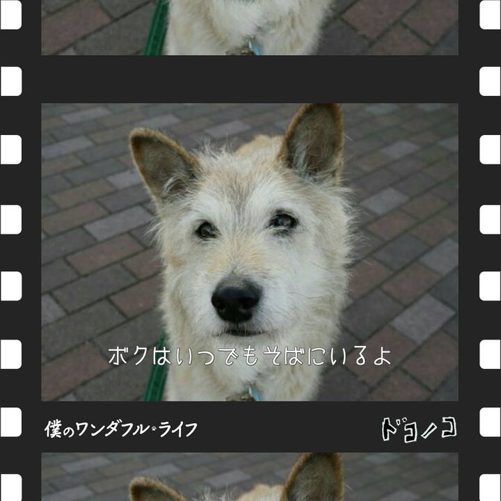 47a2f574 97aa 40b3 8282 e2deb96003ac